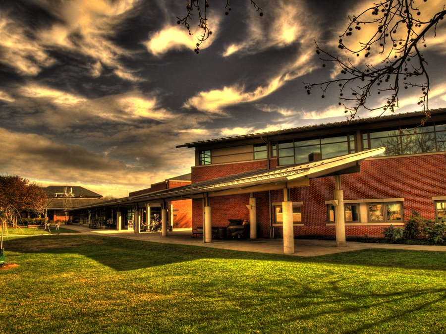 What Will They Learn? Stevenson University