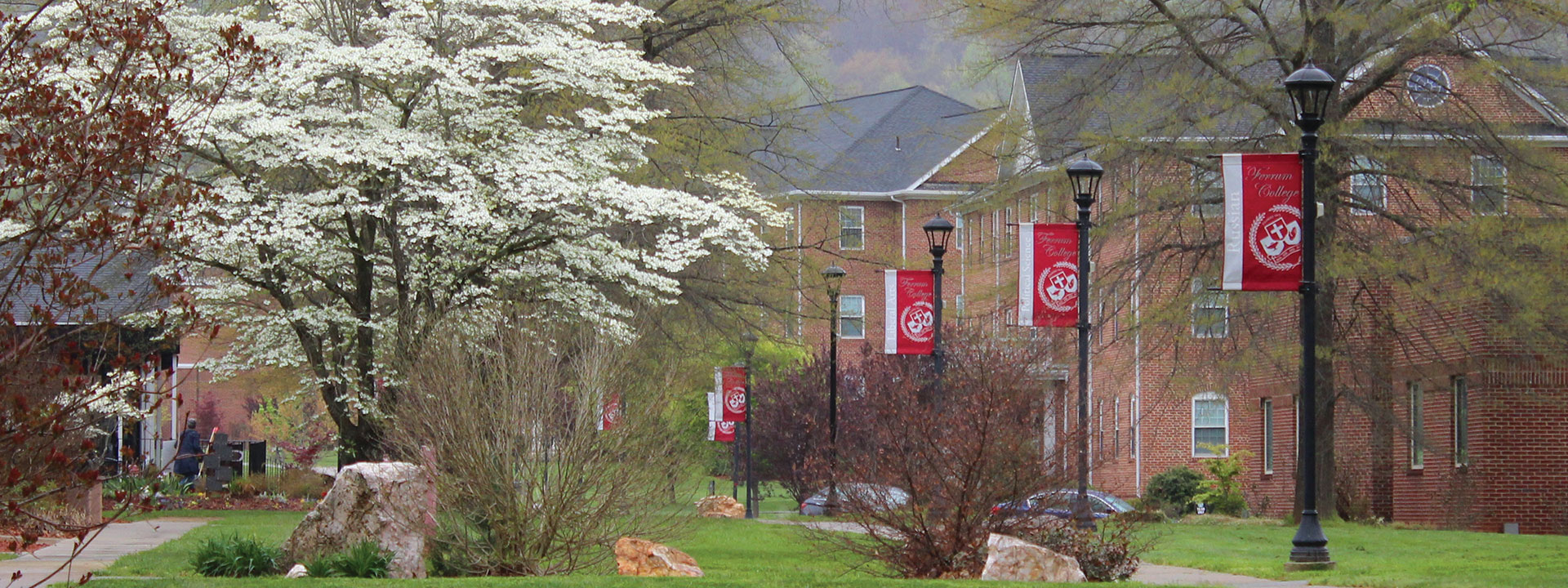 What Will They Learn? Ferrum College