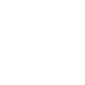 Modified Economics White Text